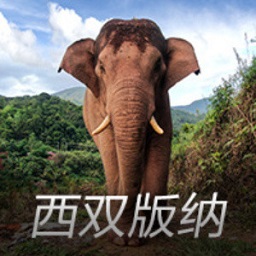 乔治本赛季场均16.2分5.3篮板43%命中率，均低于格兰姆斯